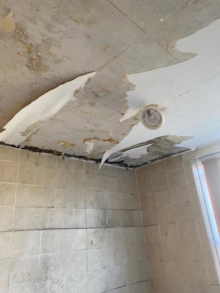 Black mould spreading across bathroom tiles and grout
