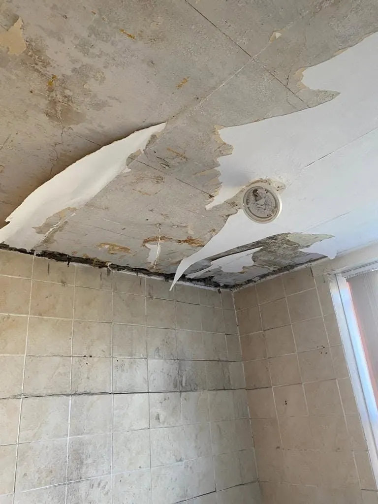 A peeling, mould-stained bathroom ceiling above tiled walls