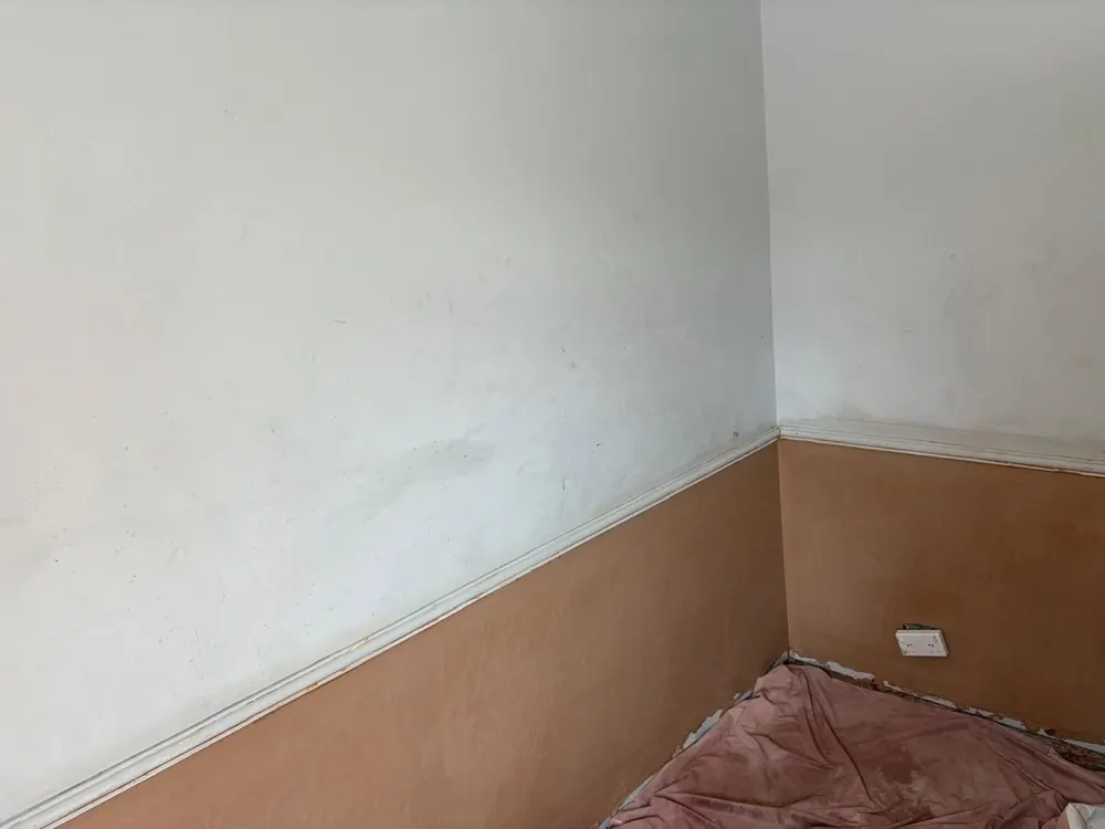 A room corner replastered below the picture rail to a smooth finish
