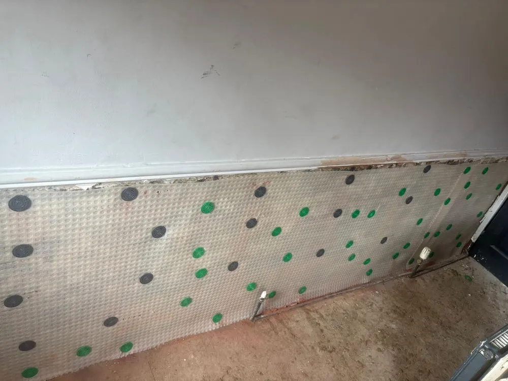 Damp proof membrane fixed below a dado rail along a stripped wall