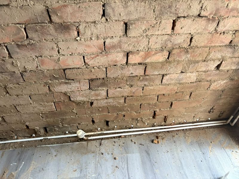 Bare brickwork with damp proof course injection holes plugged along the mortar bed